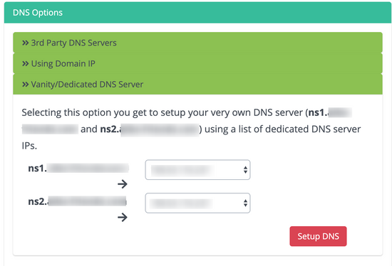 vanity dns server - dedicated ip