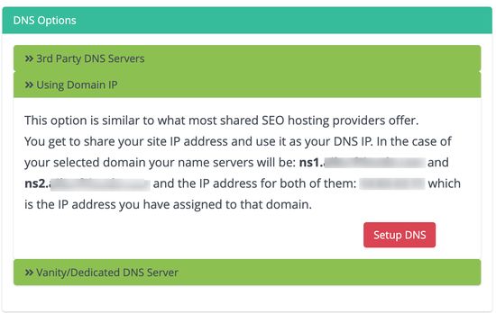vanity dns server - same ip