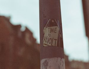 The Benefits of expired domains